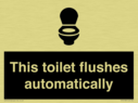 this-toilet-flushes-automatically~